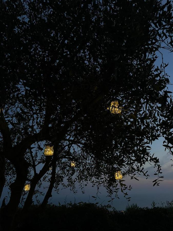 La Terrazza Sulla Versilia Pietrasanta Eksteriør billede