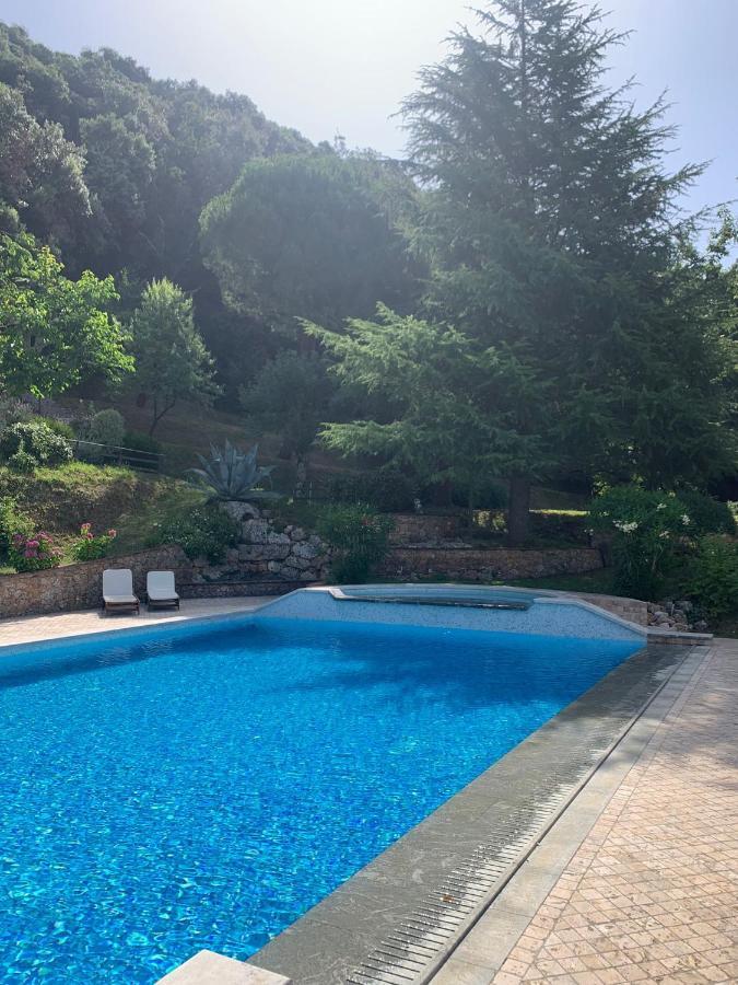 La Terrazza Sulla Versilia Pietrasanta Eksteriør billede