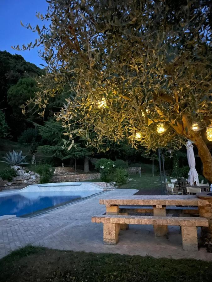 La Terrazza Sulla Versilia Pietrasanta Eksteriør billede