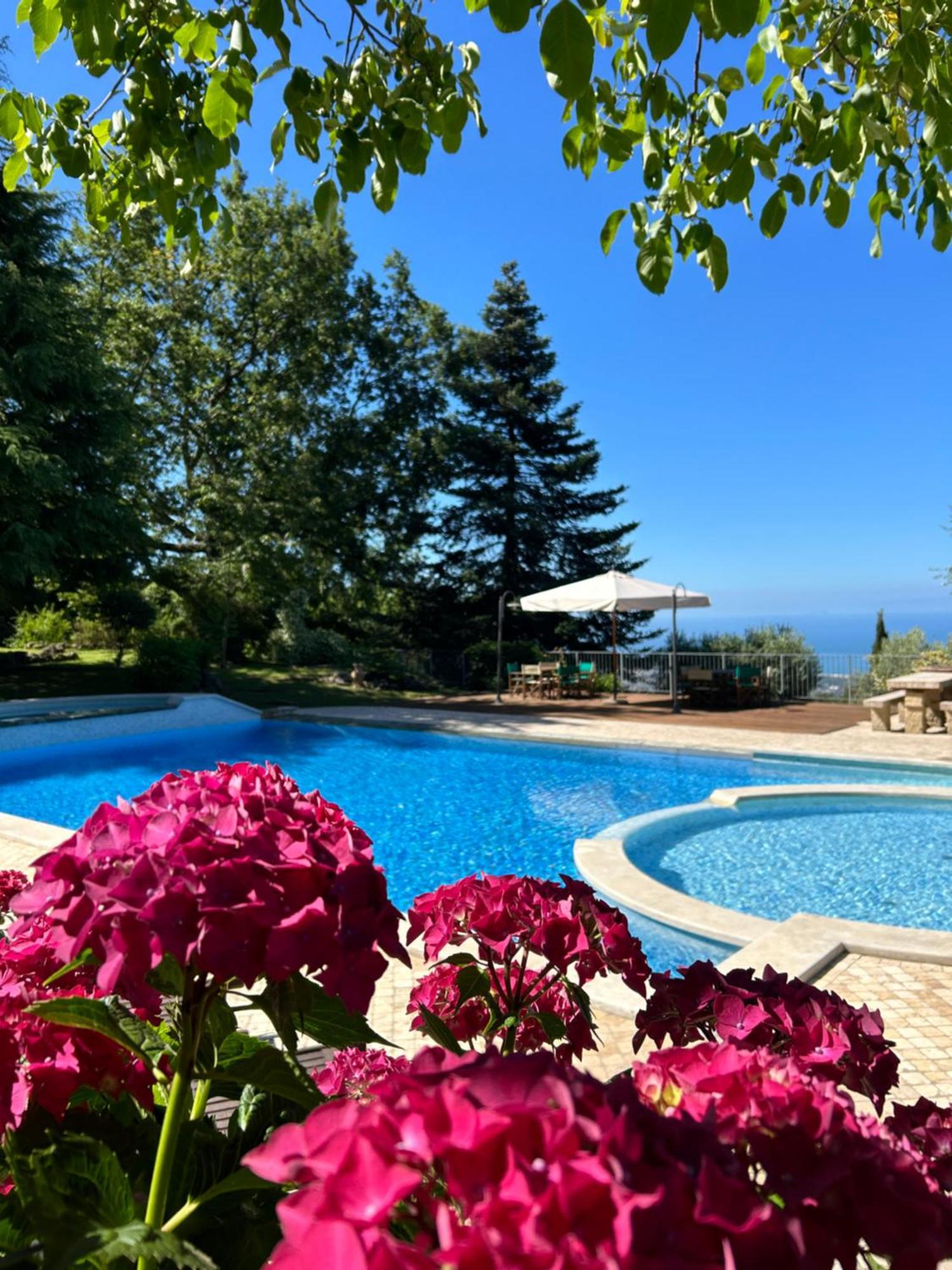 La Terrazza Sulla Versilia Pietrasanta Eksteriør billede