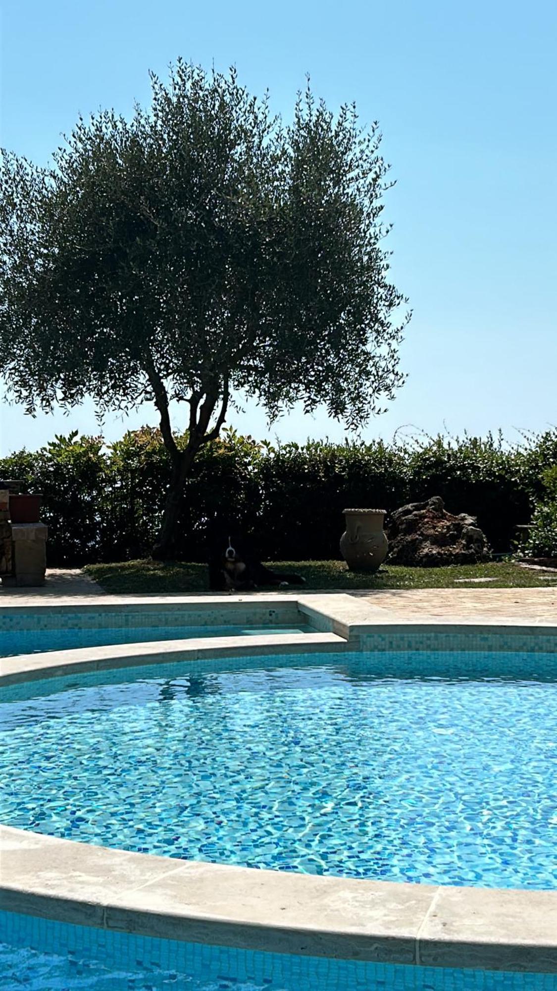 La Terrazza Sulla Versilia Pietrasanta Eksteriør billede